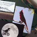 Search for cardinal bird postcards Northern