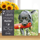 Search for labrador retriever memorial In loving memory