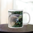 Search for hawk mugs Raptor