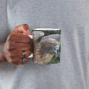 Search for red tail hawk mugs Animal