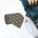 Search for red tails ties Buteo