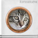Search for rose gold magnets Metallic