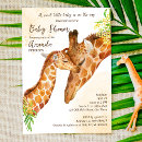 Search for baby giraffe Safari