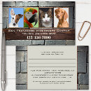 Search for veterinarian appointment cards Dogs