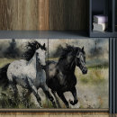 Search for wild horse tissue paper Black