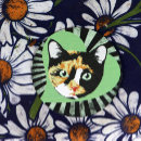 Search for calico cat coasters Cute