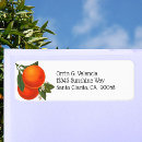 Search for orange flower return address labels Oranges