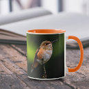 Search for fruit tree mugs Branch