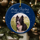 Search for border collie gifts Pet