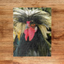 Search for bad photography Poultry