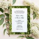 Search for green hydrangea wedding invitations Flowers