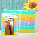 Search for cat butt cards Kitten
