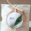 Search for bird feather Elegant