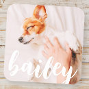 Search for cat memorial stickers Create your own