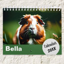 Search for pig calendars Pet