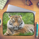 Search for jungle cat cases Feline