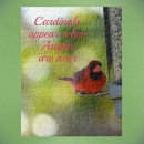 Search for red cardinal bird puzzles Birdwatching