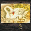 Search for swan tissue paper Pond