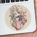 Search for anatomical stickers Heart