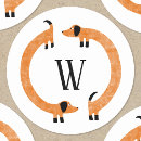 Search for mini dachshund Cute
