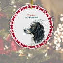 Search for spaniel christmas tree decorations Dog