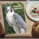 Search for falcone photography Peregrine falcon
