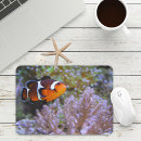 Search for clownfish mousepads Underwater