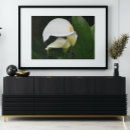 Search for arum art Botanical