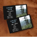 Search for pine tree photography Trees