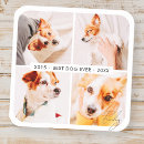 Search for in memory of dog stickers Forever in our hearts