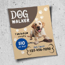 Search for pet sitting flyers Dog walker