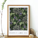 Search for seaweed posters Abstract