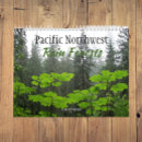Search for rain forests Nature photography