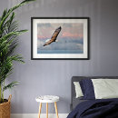 Search for bald posters Wildlife