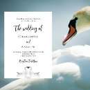 Search for swans wedding invitations Swan couple