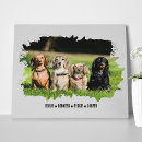 Search for parent pet supplies For her