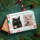 Search for santa paws christmas cards Pet photo