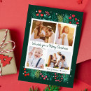 Search for pine branches christmas cards Foliage