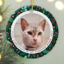 Search for cat christmas decor 2 photo