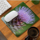 Search for artichoke electronics Botanical