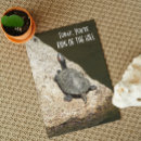 Search for king birthday cards Celebration