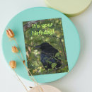 Search for crows photography Animals