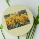 Search for daffodil easter cards Botanical