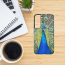 Search for plumage cases Animals