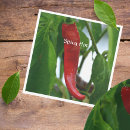 Search for pepper image Spicy