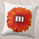 Search for daisy cushions Gerbera
