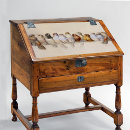 Search for bird tissue paper French