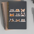 Search for peeking cat stickers Pet