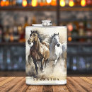 Search for mustangs Wild horses