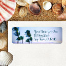 Search for palms photography Hawaii